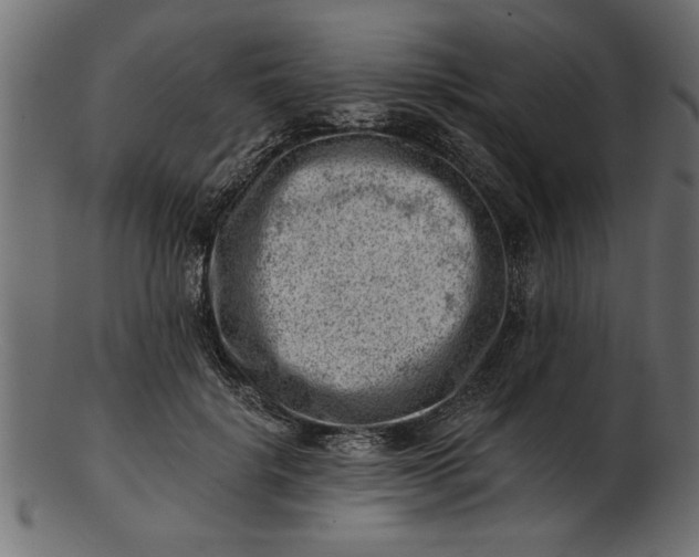 X0000103240652200809111557