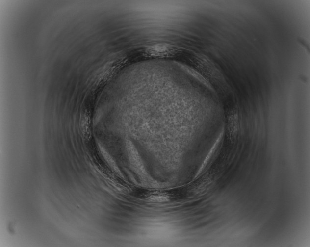 X0000103240653200809111557