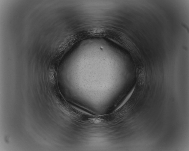 X0000103240654200809111557