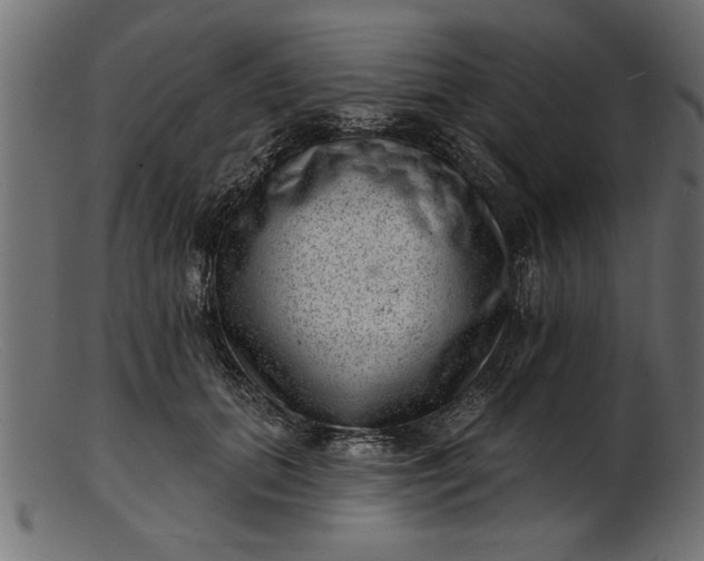 X0000103240655200809111557