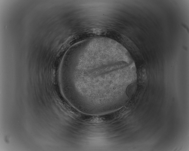 X0000103240656200809111557