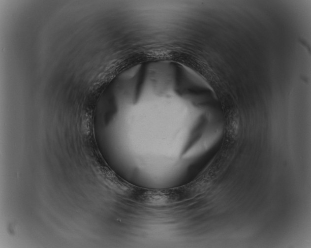 X0000103240658200809111557