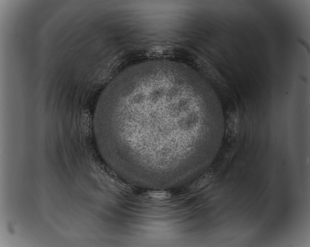 X0000103240659200809111557