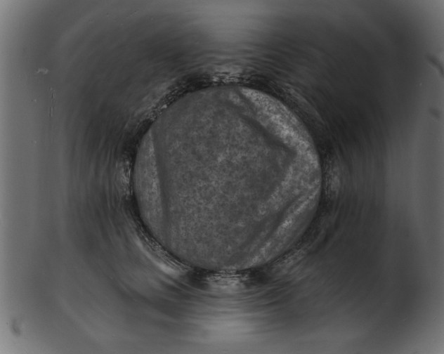 X0000103240661200809111557