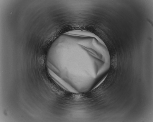 X0000103240662200809111557