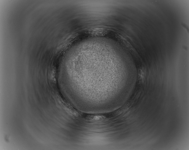 X0000103240663200809111557