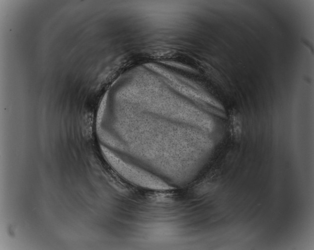 X0000103240664200809111557