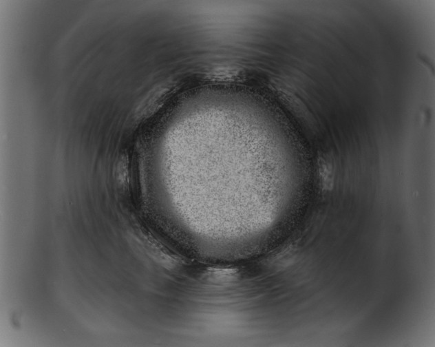 X0000103240665200809111557