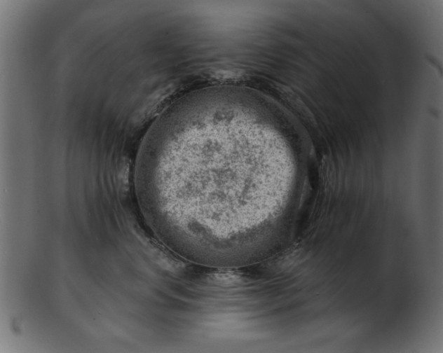 X0000103240668200809111558