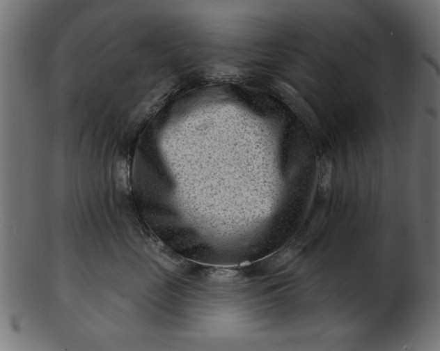 X0000103240669200809111558