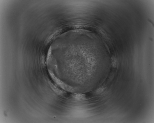 X0000103240670200809111558