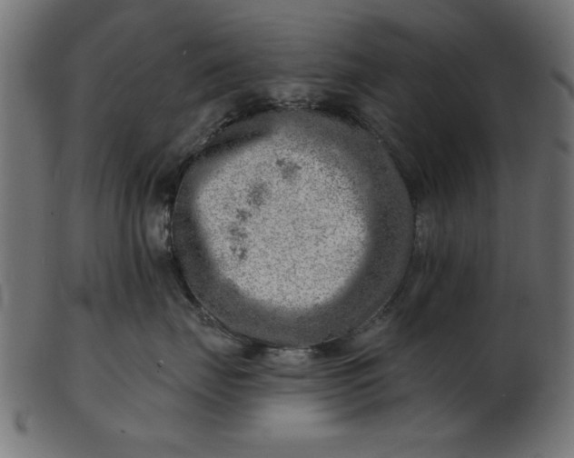 X0000103240671200809111558