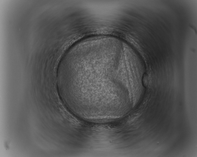 X0000103240673200809111557