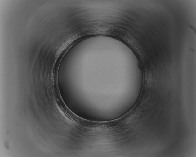 X0000103240674200809111557