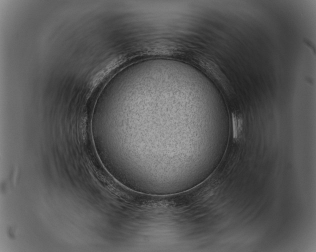 X0000103240675200809111557