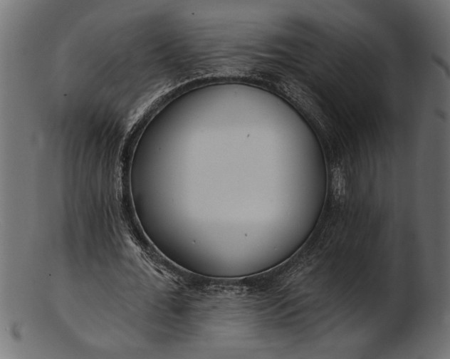 X0000103240676200809111557