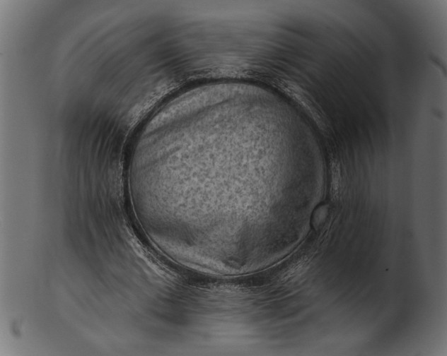 X0000103240677200809111557