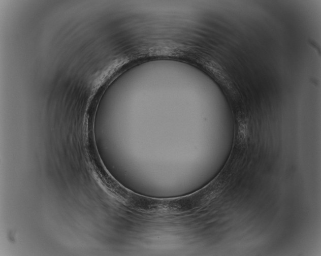 X0000103240678200809111557