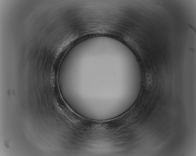 X0000103240680200809111557