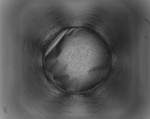 X0000103240681200809111557