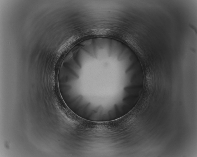 X0000103240682200809111557