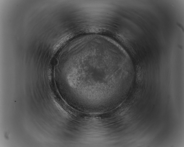 X0000103240683200809111557