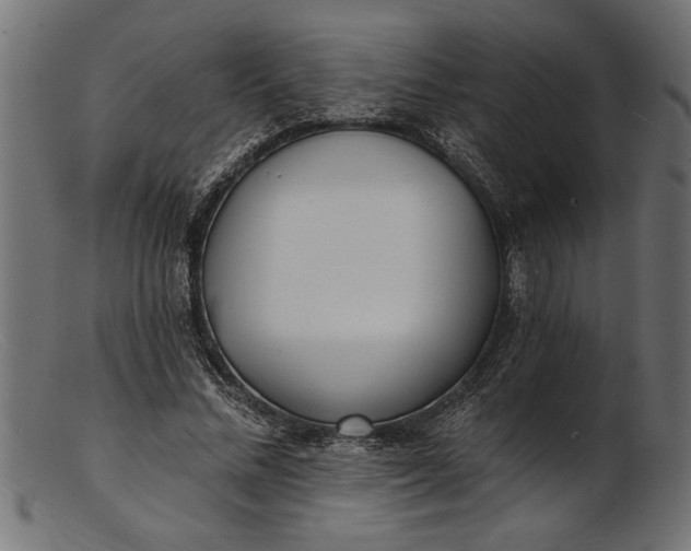 X0000103240684200809111557