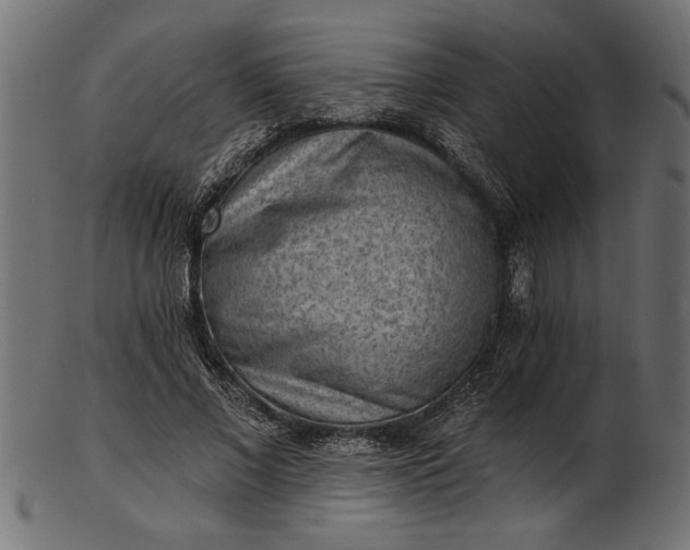 X0000103240685200809111557