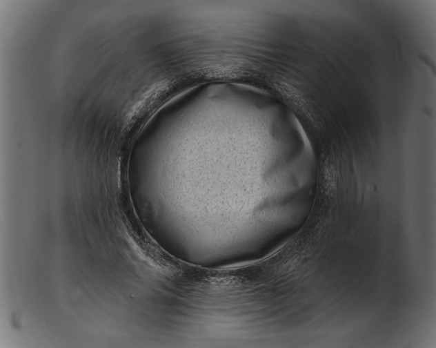 X0000103240686200809111557