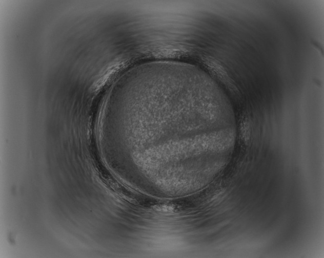 X0000103240687200809111557