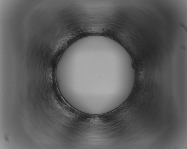 X0000103240688200809111557