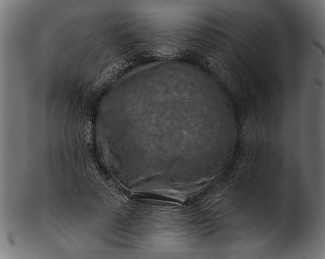 X0000103240689200809111557