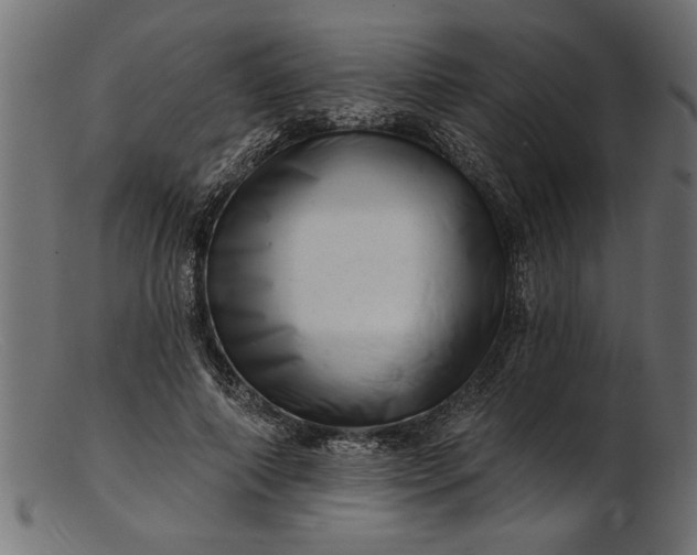 X0000103240690200809111557