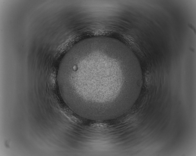 X0000103240691200809111557