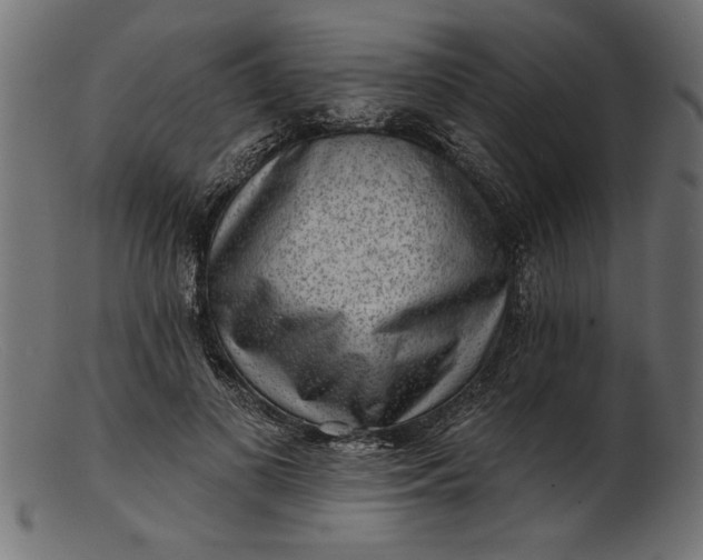 X0000103240693200809111557