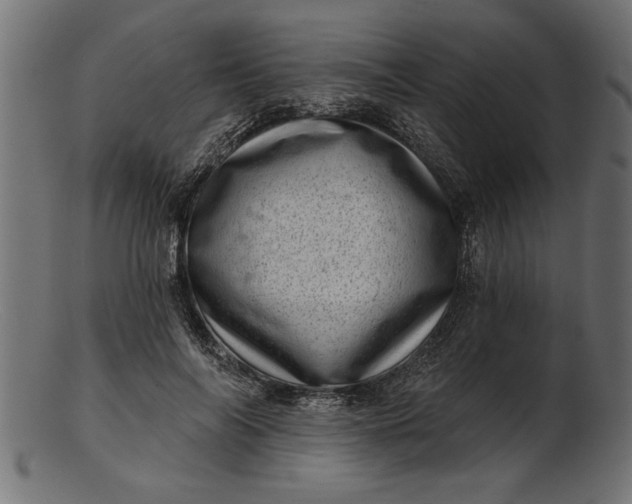 X0000103240694200809111557