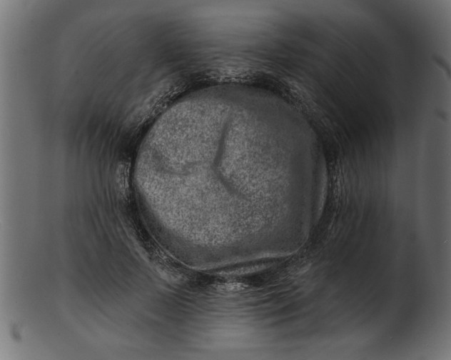 X0000103240695200809111557