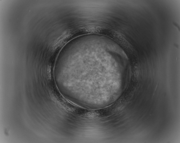 X0000103240696200809111557