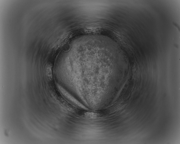 X0000103240699200809111557