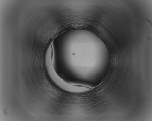 X0000103240700200809111557