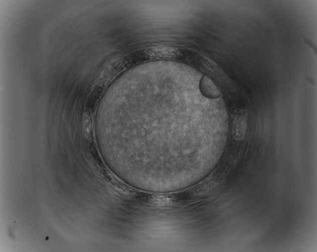 X0000103240701200809111557