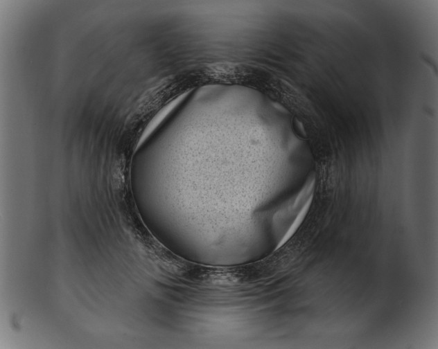 X0000103240702200809111557