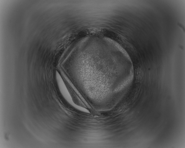 X0000103240703200809111556