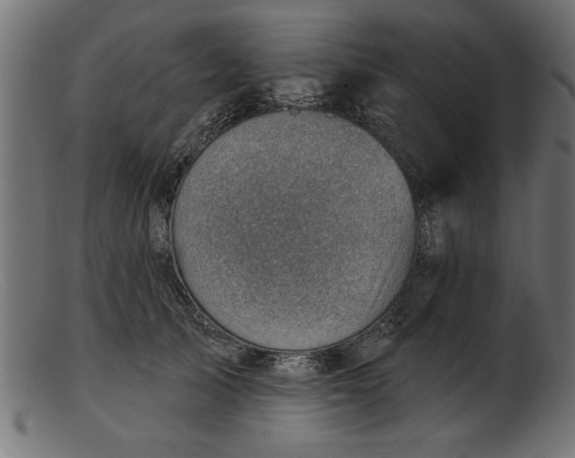 X0000103240705200809111556