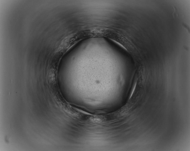 X0000103240706200809111556