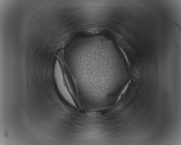 X0000103240707200809111556