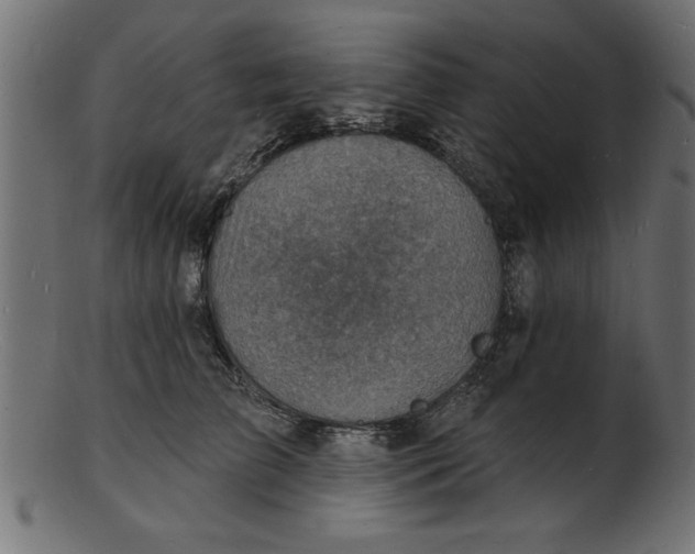 X0000103240709200809111556