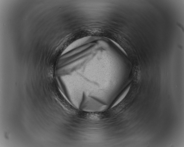 X0000103240710200809111556