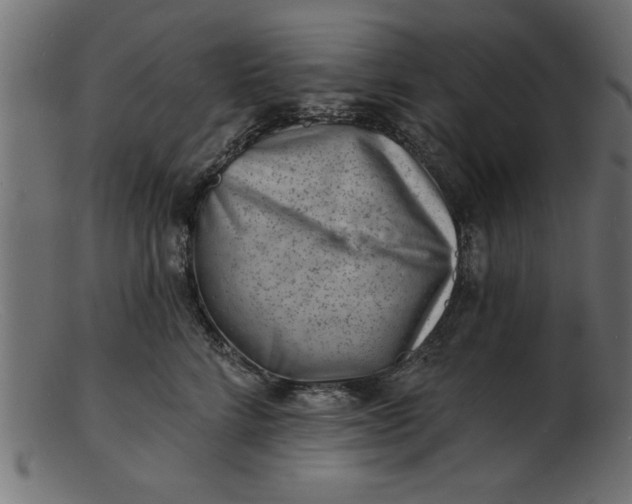 X0000103240712200809111556