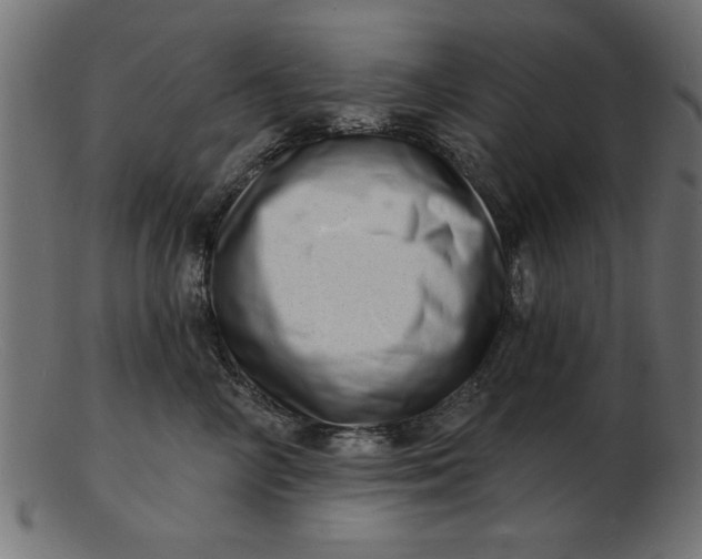 X0000103240714200809111556